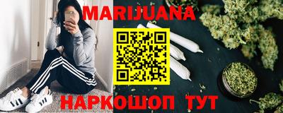гашик Будённовск