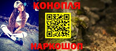 гашик Будённовск