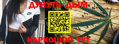 гашик Будённовск
