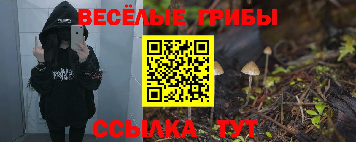 Псилоцибиновые грибы ЛСД Черняховск